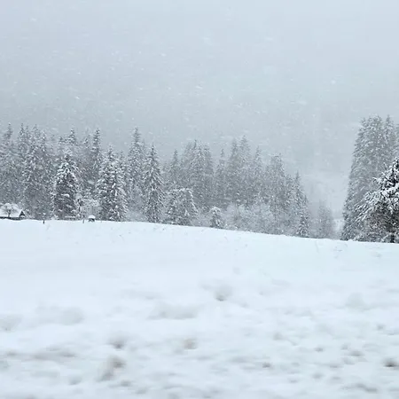 Rifugio Kristine * Falcade