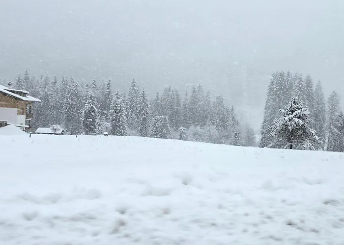 Rifugio Kristine * Falcade