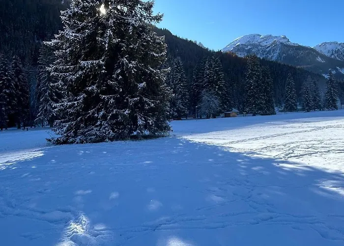 Rifugio Kristine Appartamento Falcade