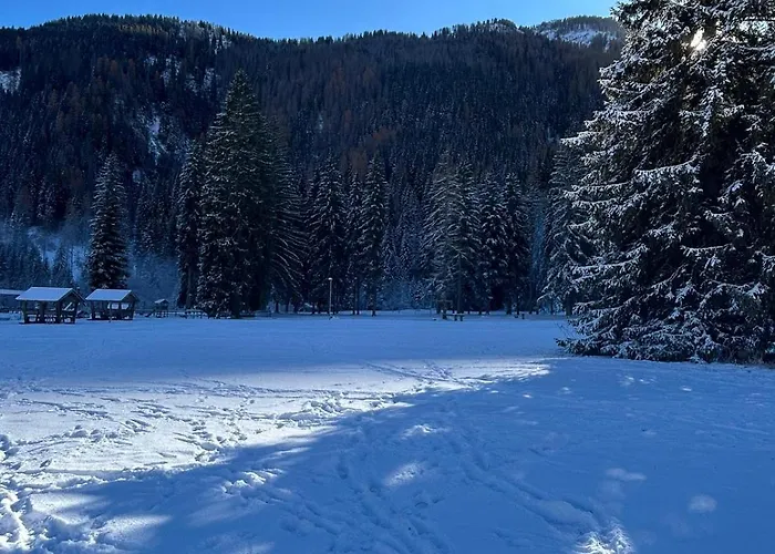 Rifugio Kristine Appartamento Falcade